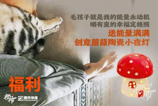 爬60层楼要几分钟？橙柿请你挑战自我(图5)
