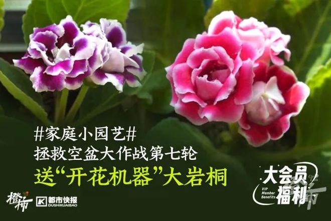 爬60层楼要几分钟？橙柿请你挑战自我(图13)