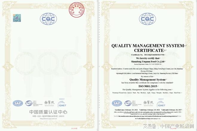 国内知名水果罐头厂家推荐：山东蒙水集团匠心锁鲜品质领航(图1)