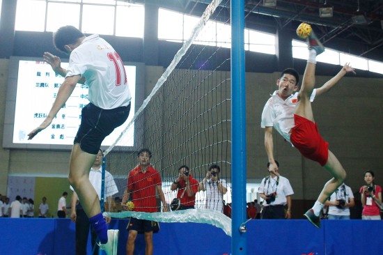 我省两个案例入选(图1)