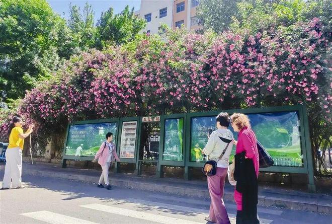 早读河北地震！多地叫停！直冲34℃！天美回应！茅台辟谣！连夜赴徐州调查！汉坦病毒疫情扩散！(图15)