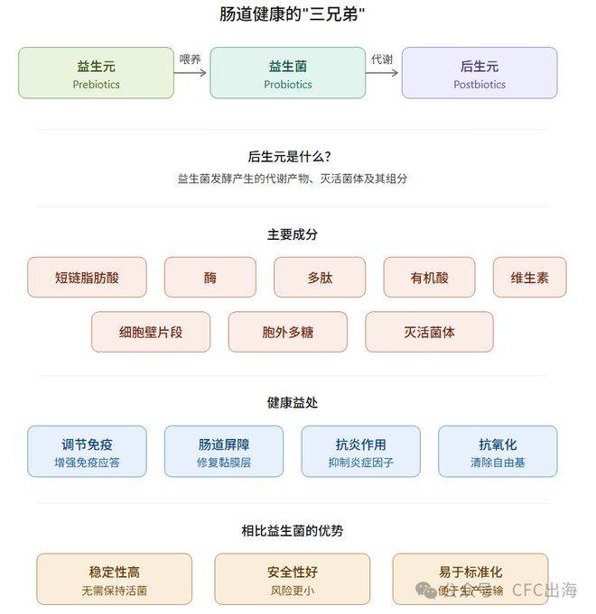 后生元能量饮料：下一个在北美爆发的百亿赛道(图1)