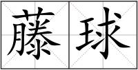 体育资讯3天精彩对决！在惠水看藤球“空中芭蕾”惊艳绽放(图1)