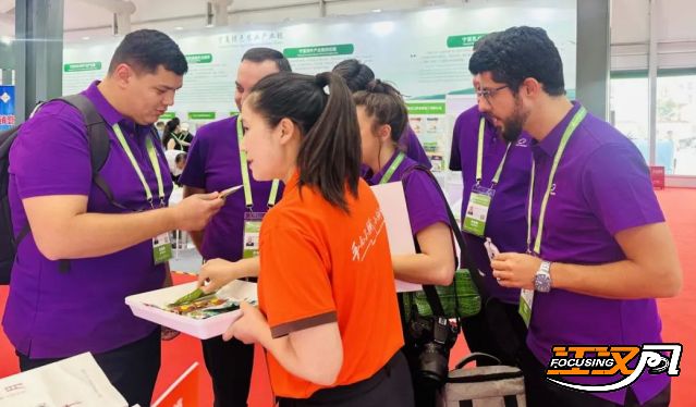 早安·荆州丨创新推出！荆州这些人群可申请最高444℃！大量蚊子被热死(图2)