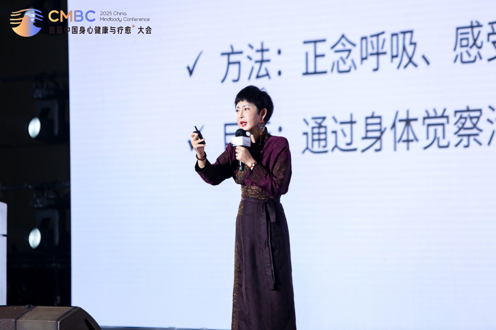 2025首届中国身心健康与疗愈⁺大会 为行业破局增长注入新力量！(图6)