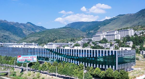 【刺梨酵素代工厂】专业定制天然酵素饮品打造健康新选择(图4)