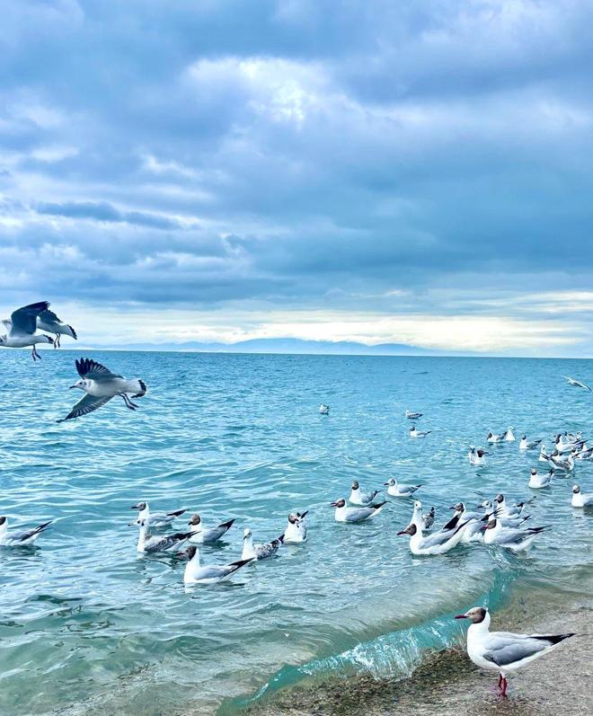 青海当地全陪导游联系方式五日游纯玩小团价格多少(图1)