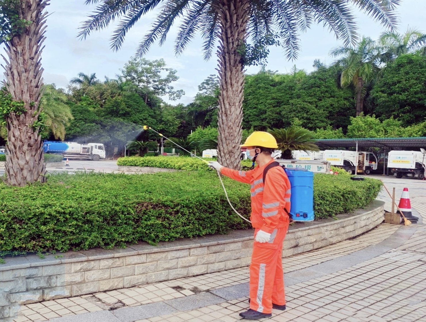 蚊媒传染病防控不松懈！南宁市市政园林（城管综合执法）系统深入开展爱国卫生运动(图14)