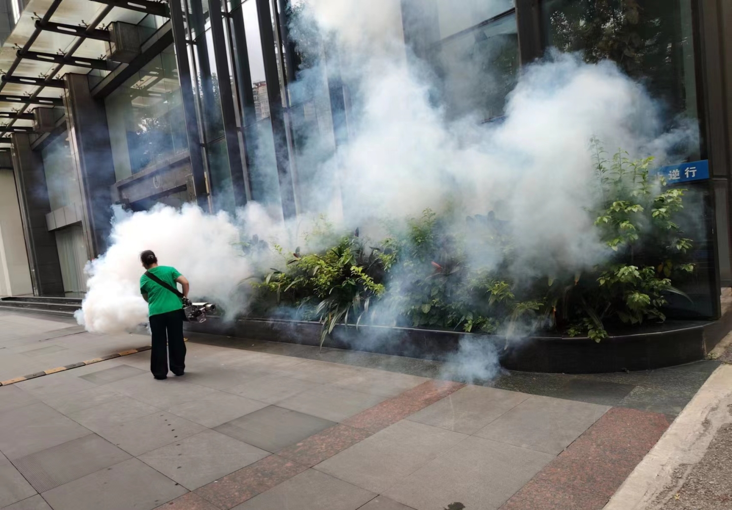 蚊媒传染病防控不松懈！南宁市市政园林（城管综合执法）系统深入开展爱国卫生运动(图2)