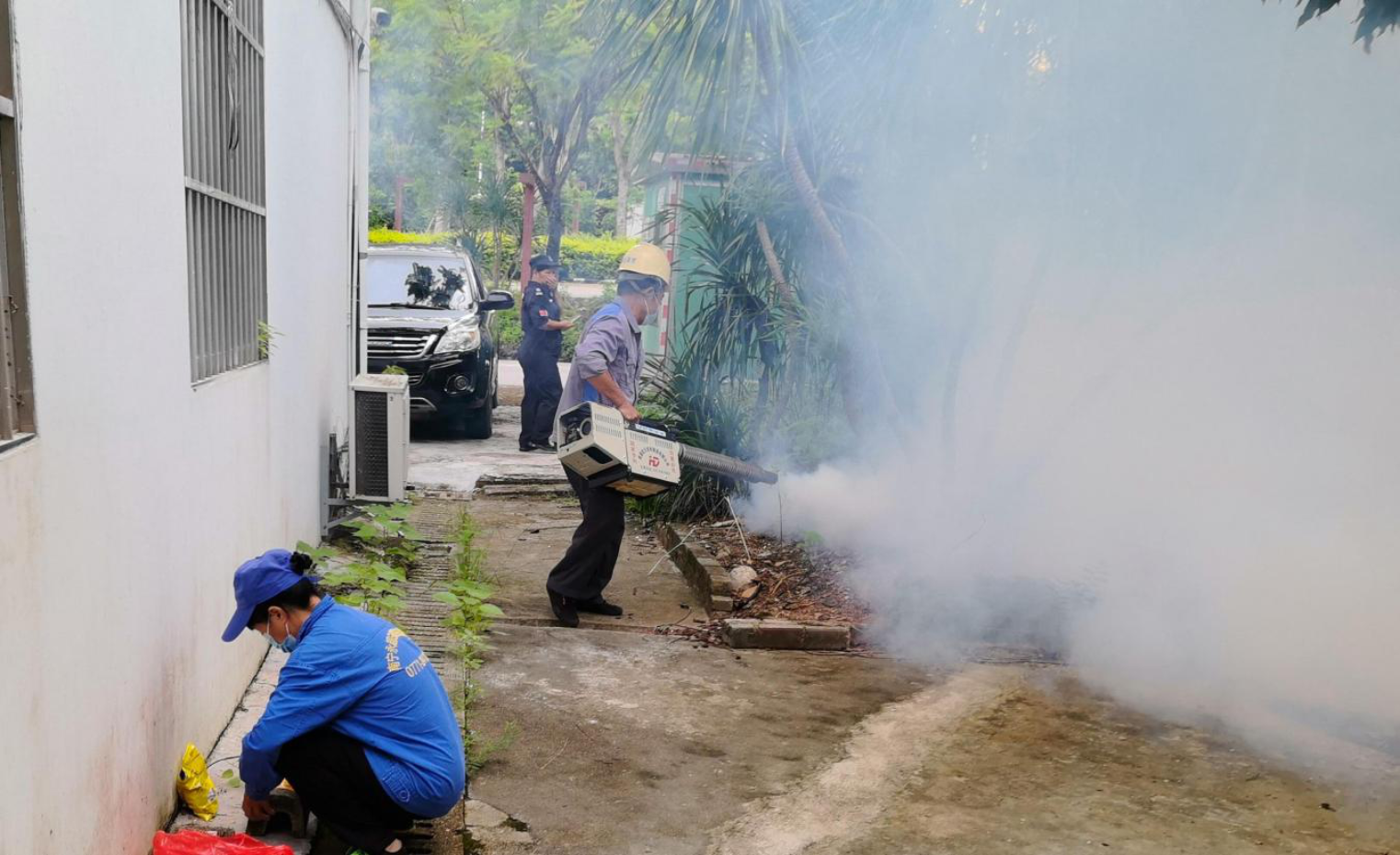 蚊媒传染病防控不松懈！南宁市市政园林（城管综合执法）系统深入开展爱国卫生运动(图4)