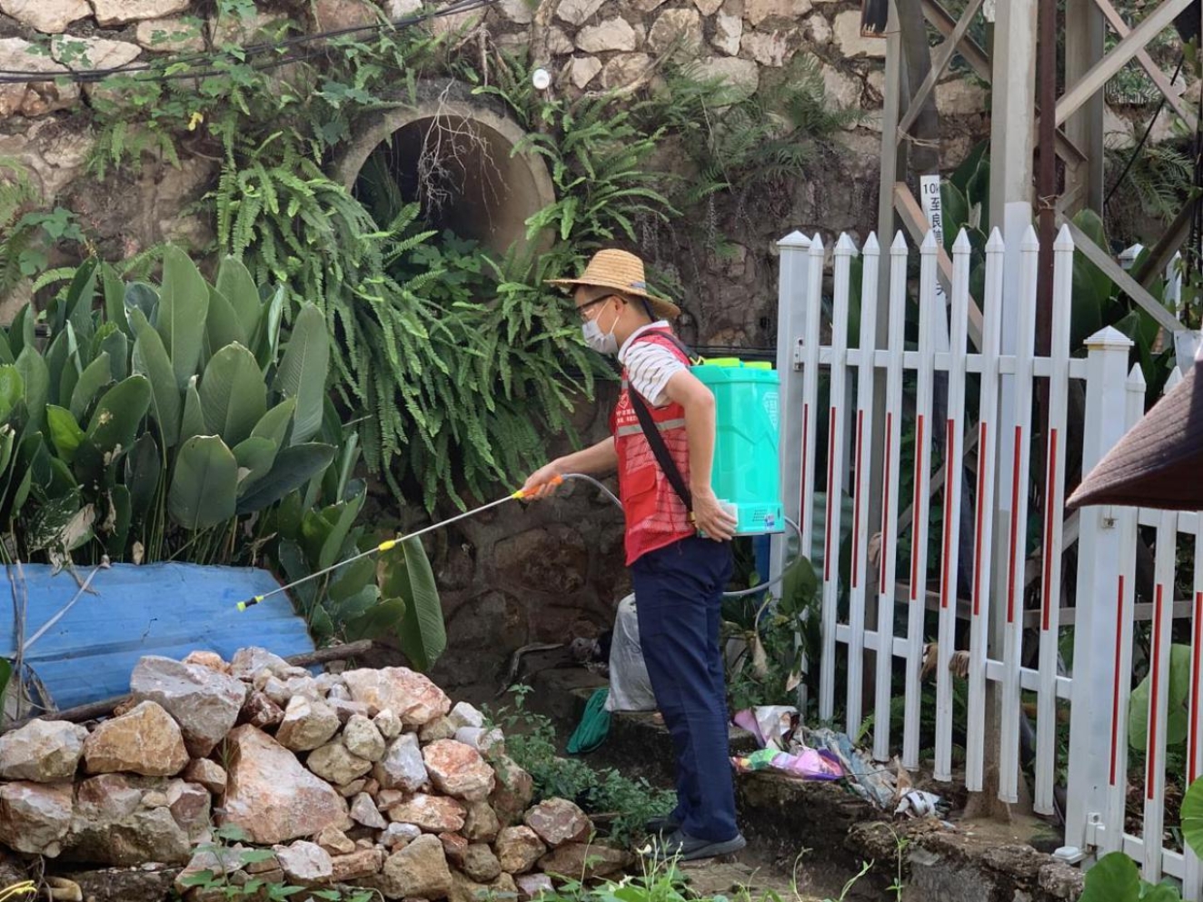 蚊媒传染病防控不松懈！南宁市市政园林（城管综合执法）系统深入开展爱国卫生运动(图5)