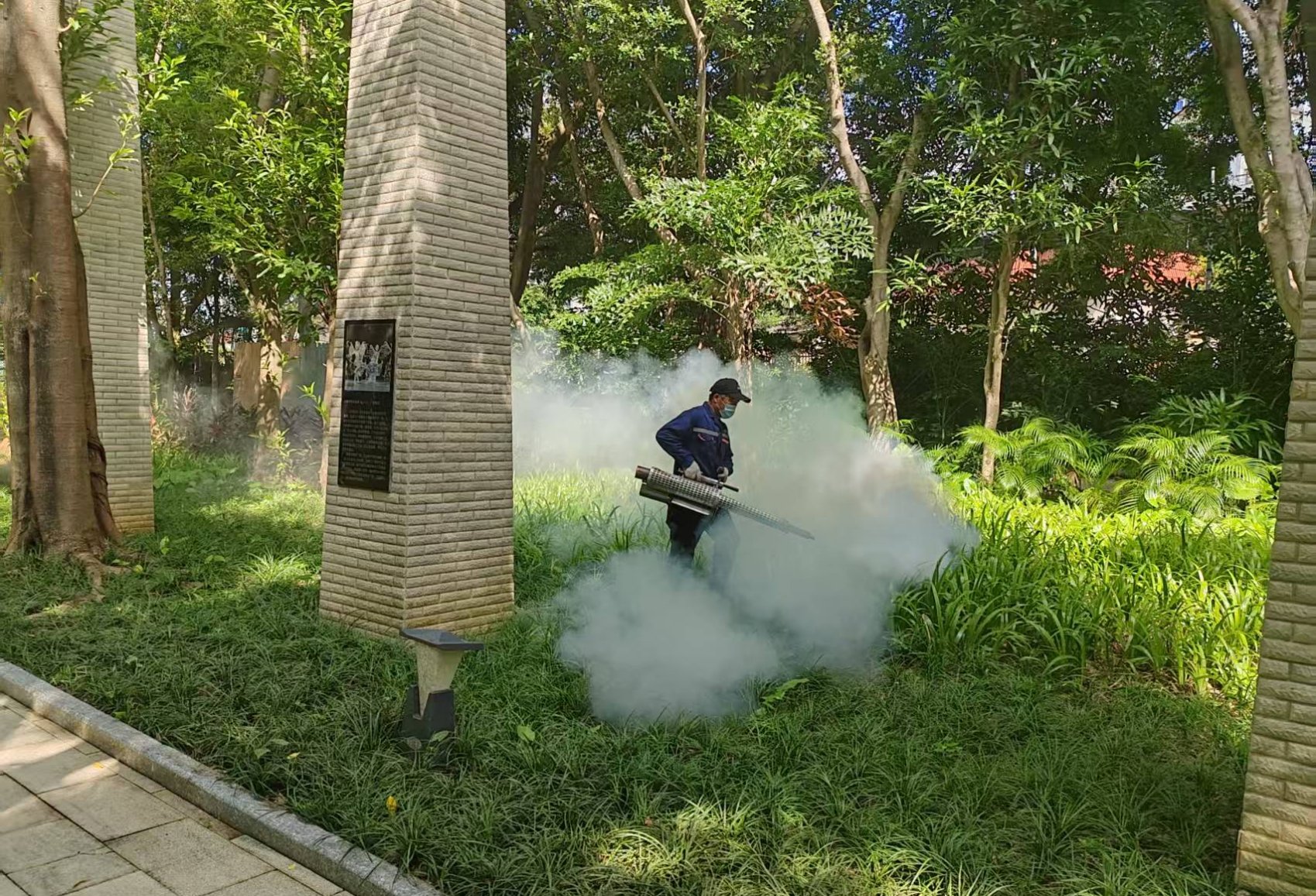 蚊媒传染病防控不松懈！南宁市市政园林（城管综合执法）系统深入开展爱国卫生运动(图7)