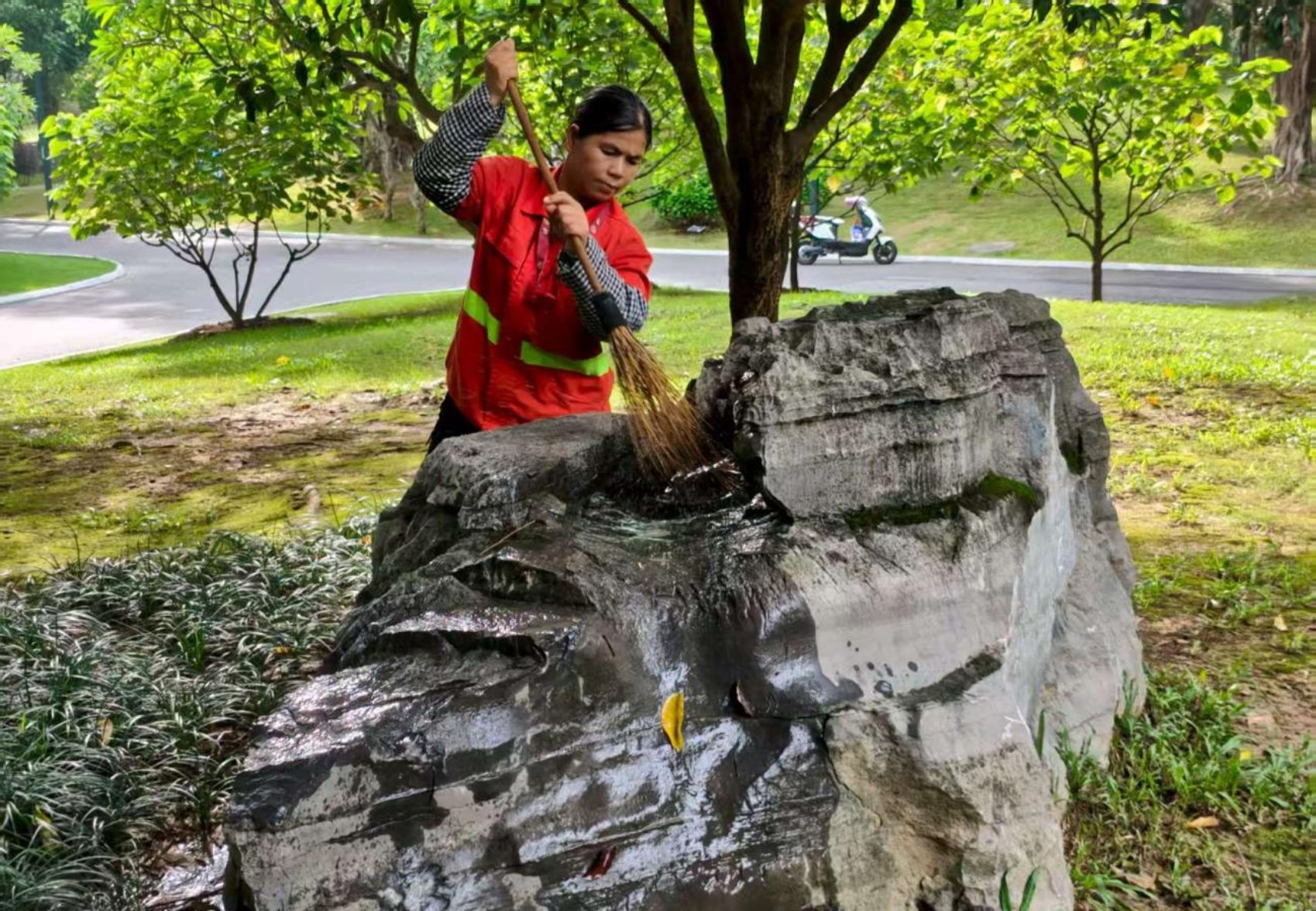 蚊媒传染病防控不松懈！南宁市市政园林（城管综合执法）系统深入开展爱国卫生运动(图8)