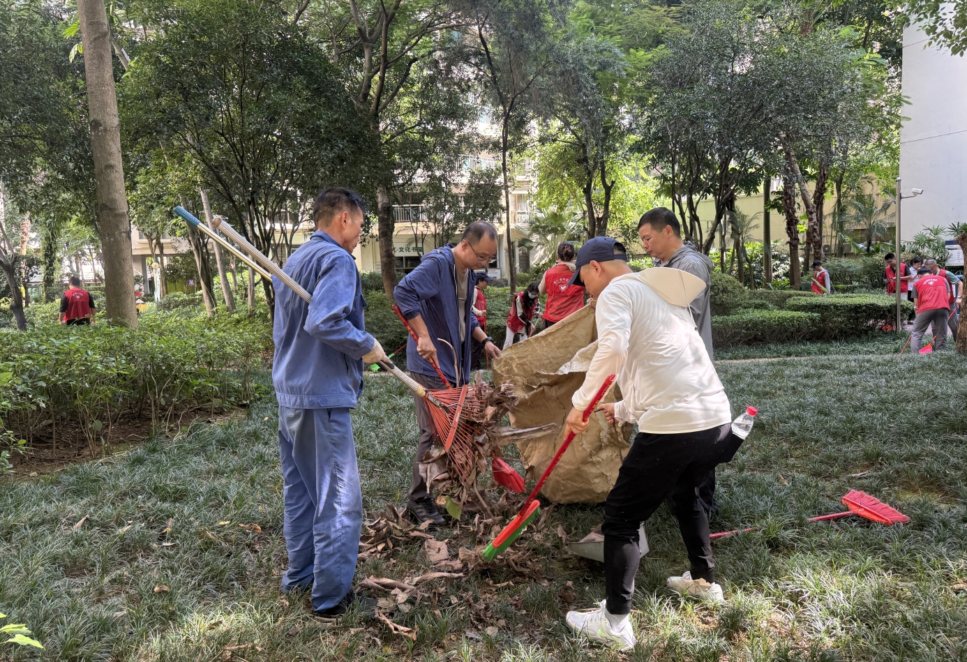 蚊媒传染病防控不松懈！南宁市市政园林（城管综合执法）系统深入开展爱国卫生运动(图10)
