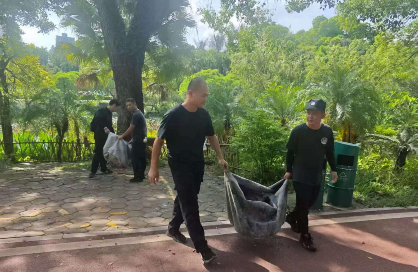 蚊媒传染病防控不松懈！南宁市市政园林（城管综合执法）系统深入开展爱国卫生运动(图11)