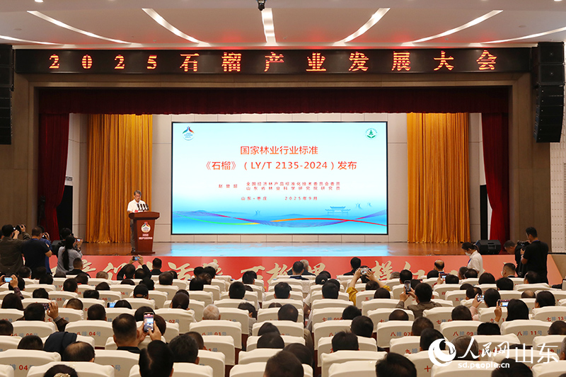 “榴”火燃情 2025石榴产业发展大会在枣庄举行(图3)