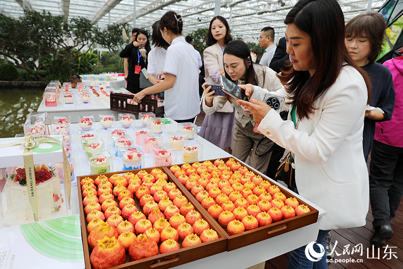 “榴”火燃情 2025石榴产业发展大会在枣庄举行(图4)