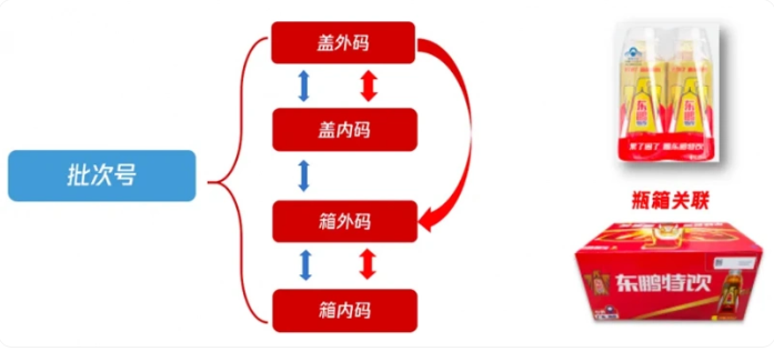 品牌价值4218亿美元再进阶东鹏饮料连续四年登凯度BrandZ中国百强榜(图2)