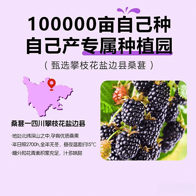 饮料品牌排行榜十强：清新味蕾与健康生活的完美结合(图7)