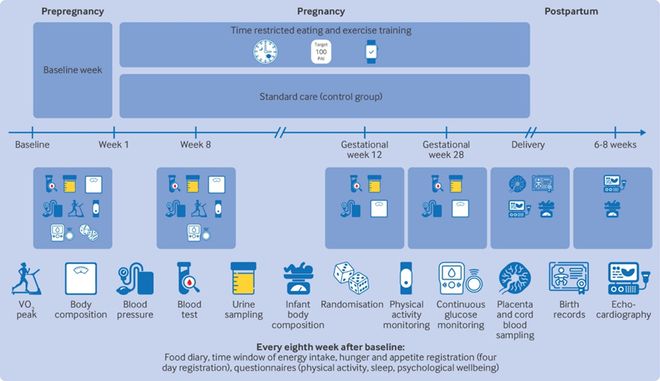 BMJ最新研究：孕前至整个孕期限时进食和做运动对控制血糖无益？(图3)