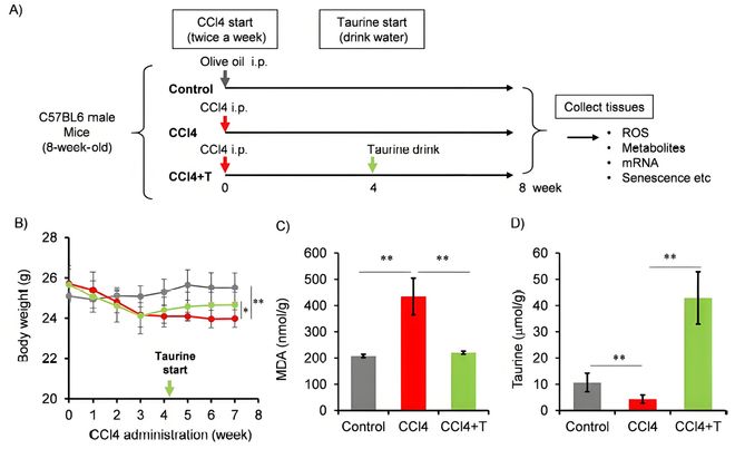 日本研究证实：一种饮料成分竟暗藏护肝、抗衰潜力！市场或超百亿(图2)