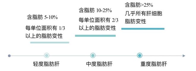 日本研究证实：一种饮料成分竟暗藏护肝、抗衰潜力！市场或超百亿(图4)