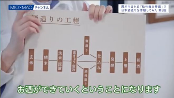 万字讲透：日本版RIO“宝酒造”凭“清酒+汽水”登顶日本清酒第一对中国白酒有何启示？(图16)