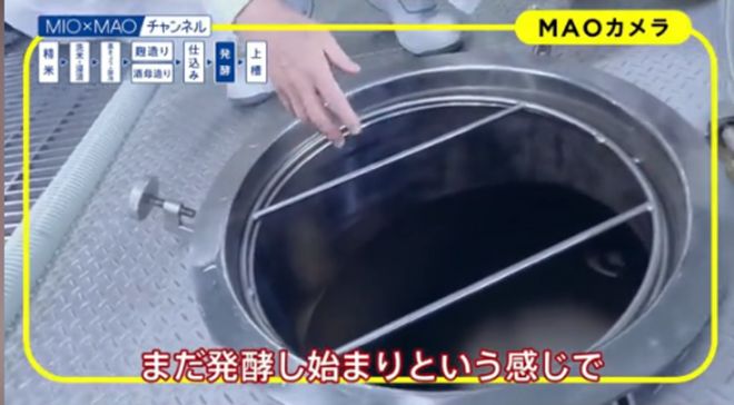 万字讲透：日本版RIO“宝酒造”凭“清酒+汽水”登顶日本清酒第一对中国白酒有何启示？(图17)