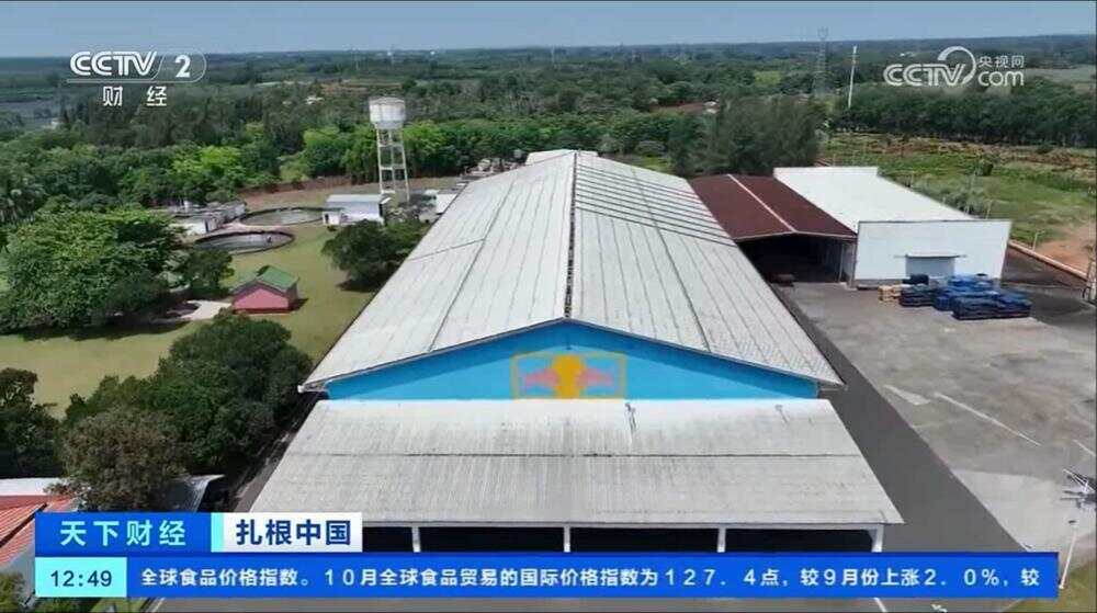 央视聚焦能量饮料头部品牌天丝集团红牛品牌扎根中国故事(图3)