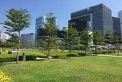 去香港看全运！跑者必收：私藏路线+观赛指南附坡度控配速小技巧(图5)