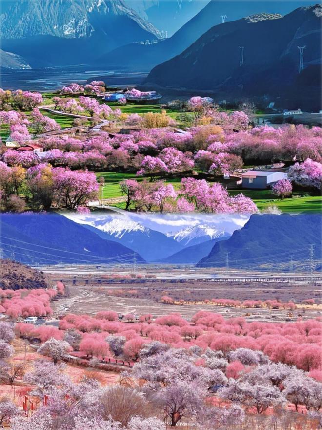 西藏旅游小包团7天游多少钱？西藏小包团7天6晚最佳安排攻略(图1)