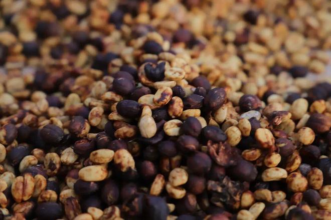 一颗云南豆子的逆袭拼多多把“乡土生意”做成新国货(图4)