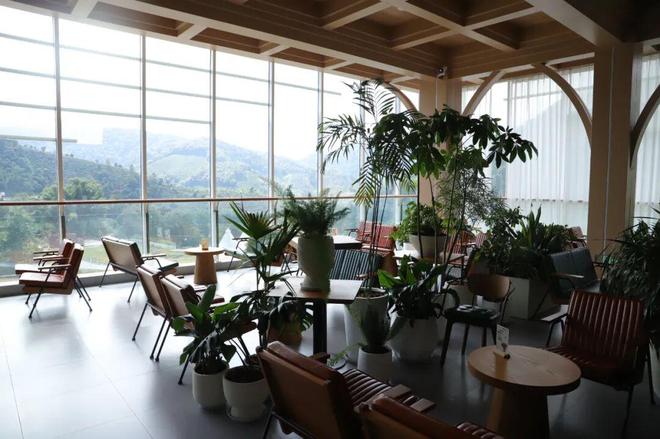 一颗云南豆子的逆袭拼多多把“乡土生意”做成新国货(图6)