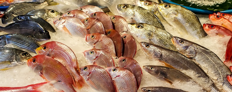 冷冻食品表面温度不宜高于 冷冻食品表面温度不高于多少(图1)