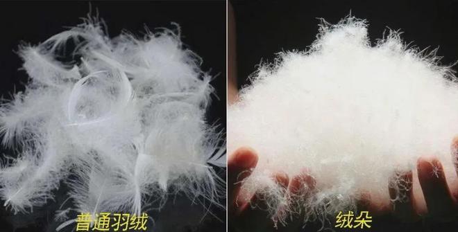 蒙阴红水蜜桃最新视频 - 蒙阴红水蜜桃最新视频下载手机版V3(图8)