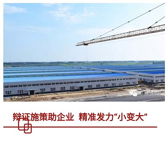 【两学一做】河北：志愿服务在邱县(图3)