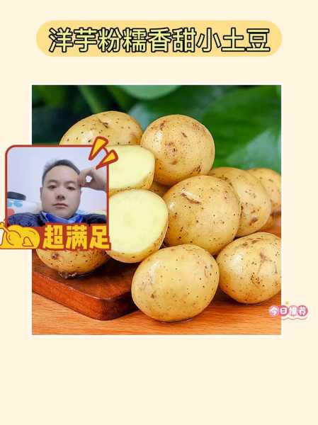 我的小土豆-我的小土豆无限金币版