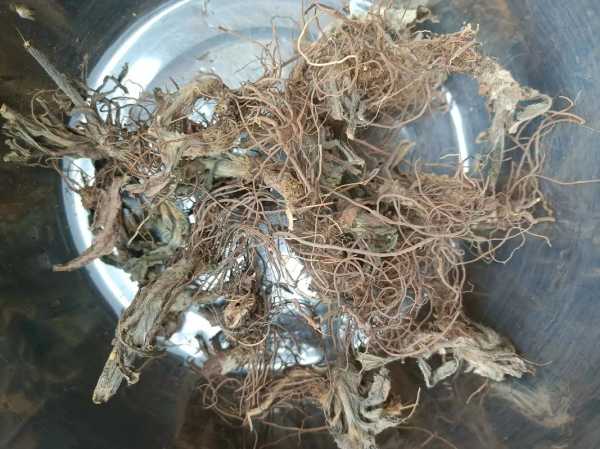 猪心怎么煮、猪肺猪肝猪心怎么煮