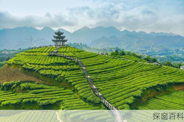 长兴旅游攻略一日游;长兴的旅游景点有哪些