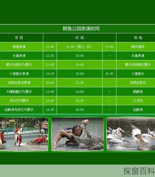 长隆飞鸟乐园旅游攻略、长隆飞鸟乐园门票价格