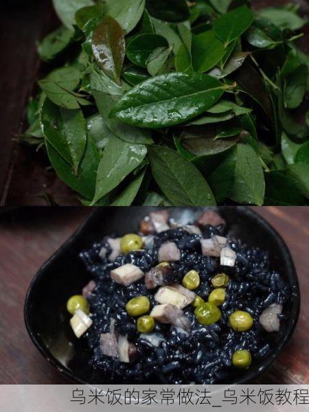 乌米饭的家常做法_乌米饭教程