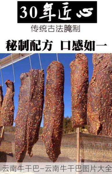 云南牛干巴—云南牛干巴图片大全