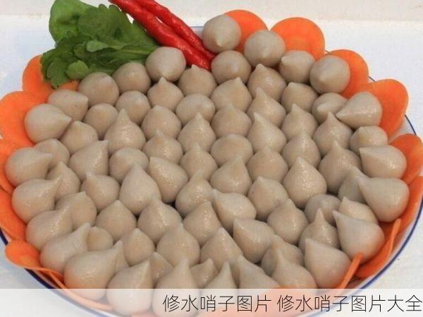 修水哨子图片 修水哨子图片大全
