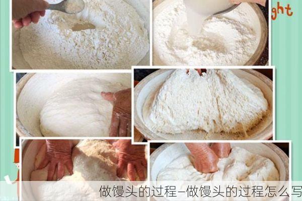 做馒头的过程—做馒头的过程怎么写