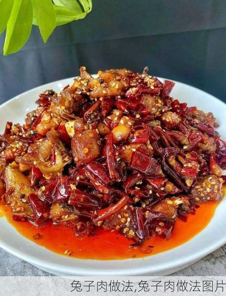 兔子肉做法,兔子肉做法图片