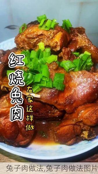 兔子肉做法,兔子肉做法图片