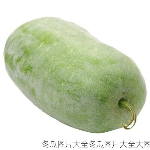 冬瓜图片大全冬瓜图片大全大图