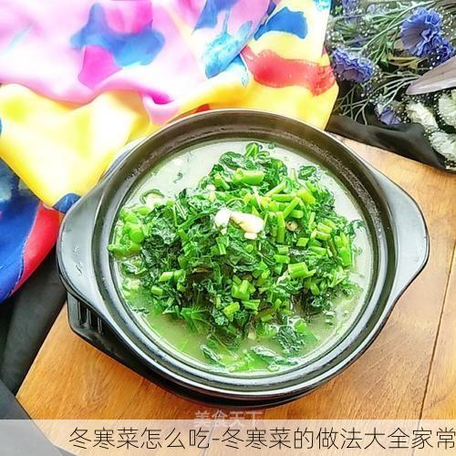 冬寒菜怎么吃-冬寒菜的做法大全家常