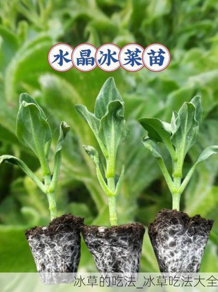 冰草的吃法_冰草吃法大全