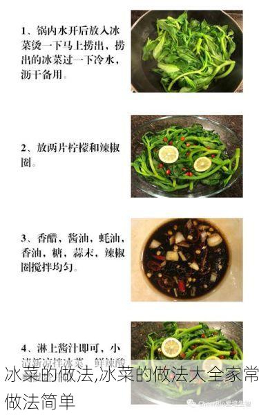 冰菜的做法,冰菜的做法大全家常做法简单